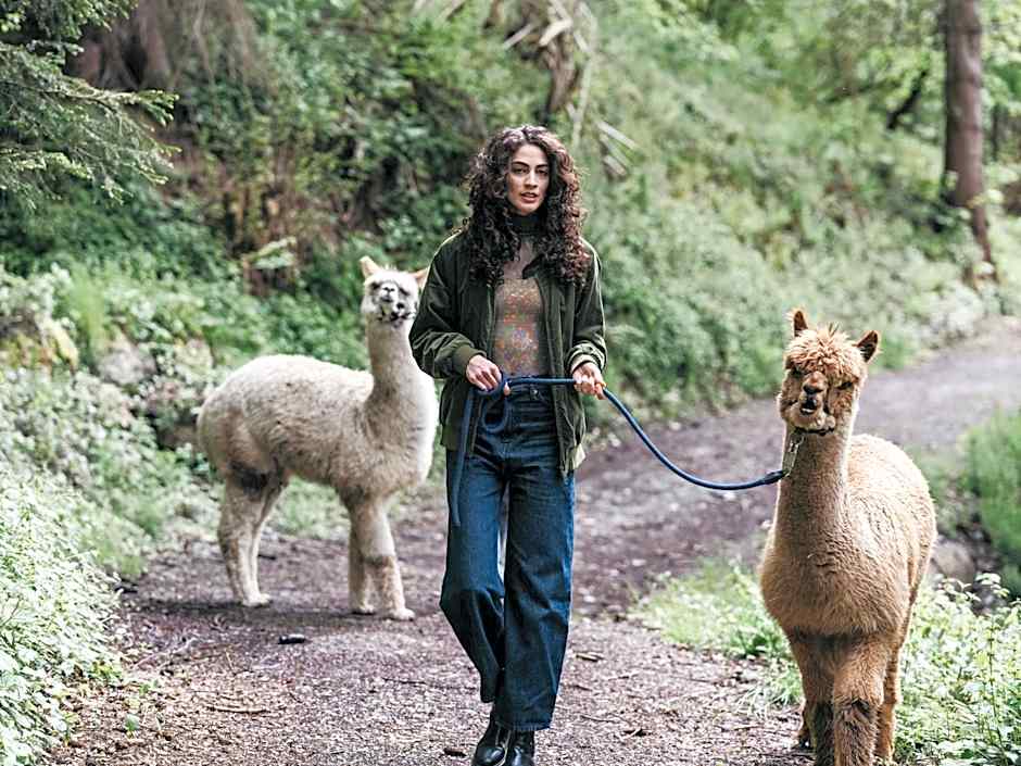 Haven Mountain Retreat