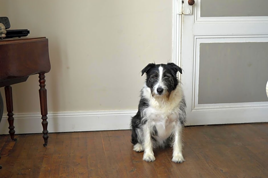 La Vieille Distillerie