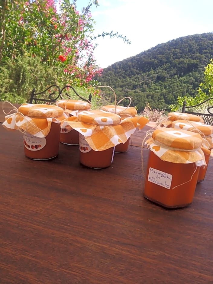 Poggio Del Sole – Bassano del Grappa, AL