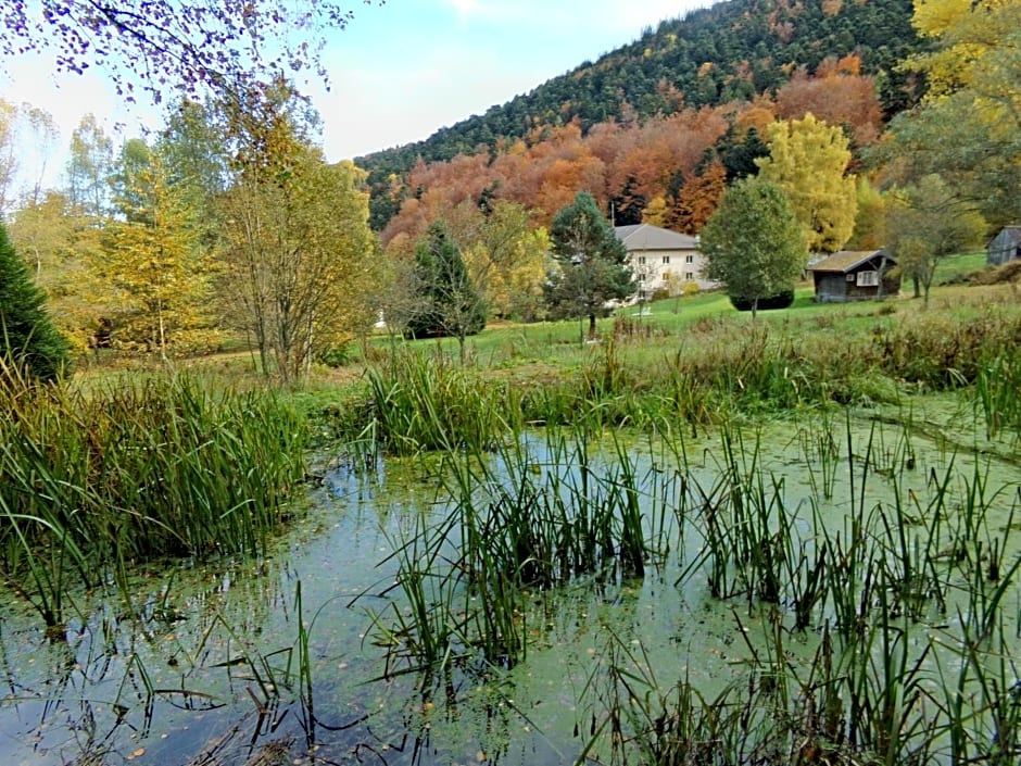 Hotel-Spa & Restaurant Logis Domaine Langmatt