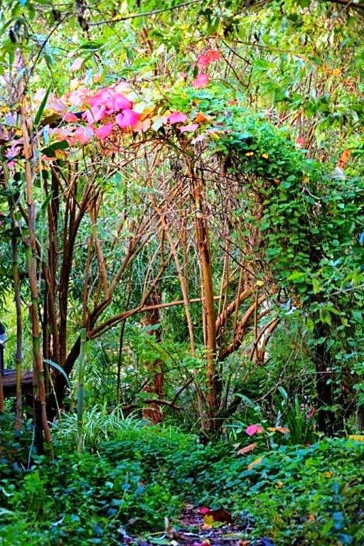 Black Cockatoo Lodge