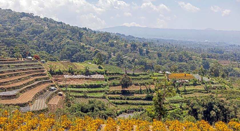 Lavender - Taman Tanda