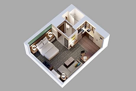 1 Queen Bed Studio Suite