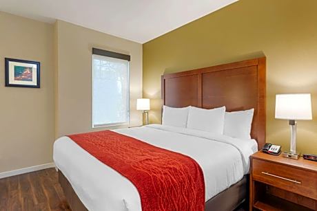 Standard Room, 1 King Bed, Non Smoking