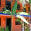 Costa del Mar