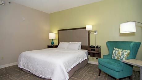 1 King Mobility/Hearing Acc Ri Shower Nosmok