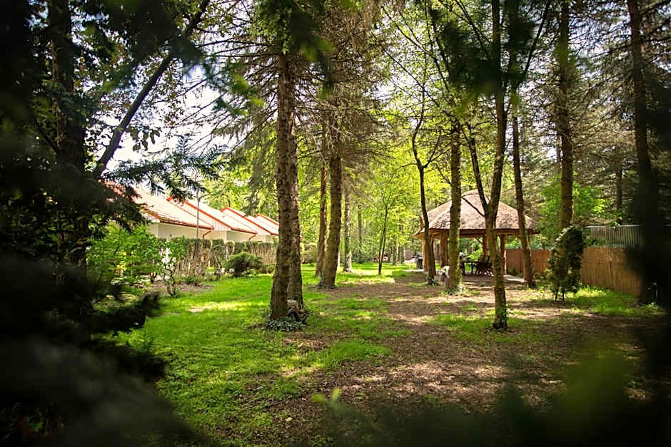 Noclegi Pod Dębem u Jakuba