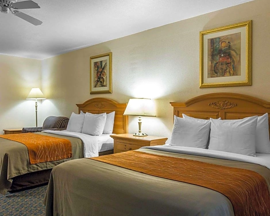 Comfort Inn & Suites Sequoia Kings Canyon - Three Rivers