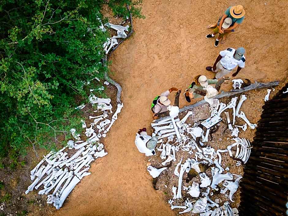 Kambaku Safari Lodge