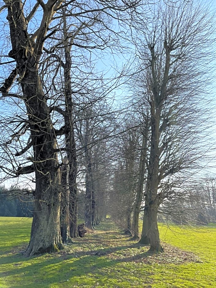 Château de Trébons