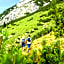 Apart Hotel Alpenhof Werfenweng