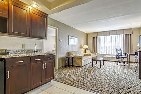 Suite King Bed Non Smoking