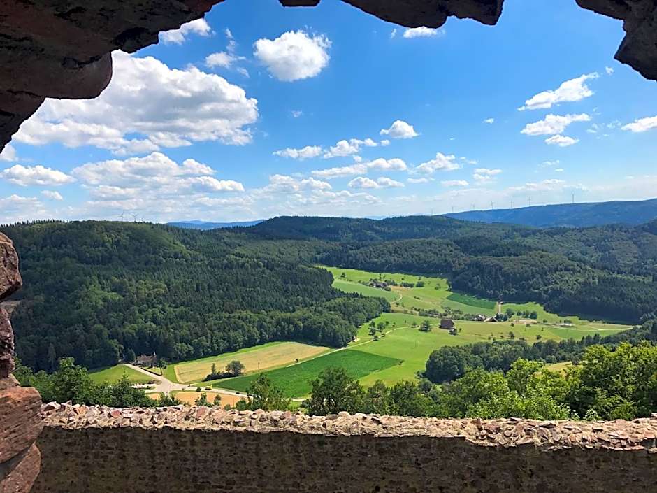 Hotel Garni Schmieder’s Ochsen