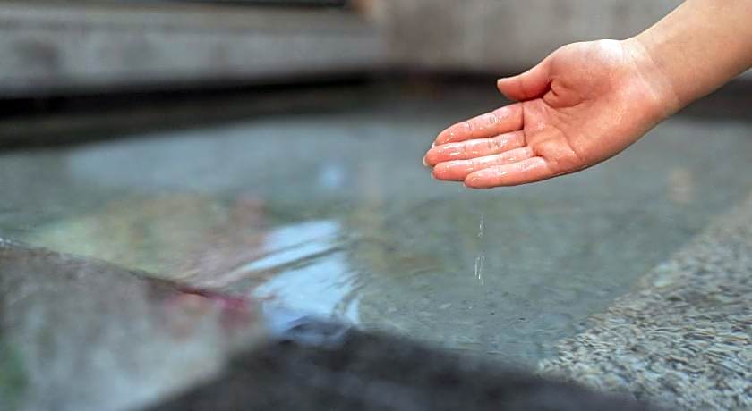 Hotel New Gaea Iizuka