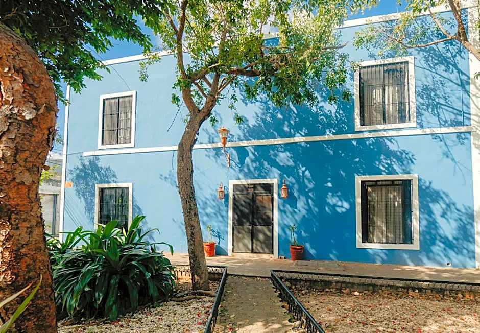 Nido Colibrí - Private Rooms and hostel Dorms in Remate de Paseo Montejo
