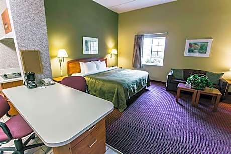 1 King Bed, Suite, Smoking