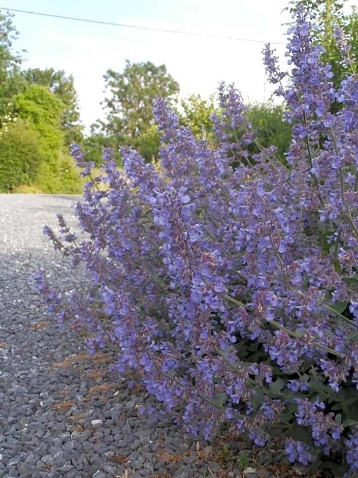 Chambre d'hôtes L'Ermite