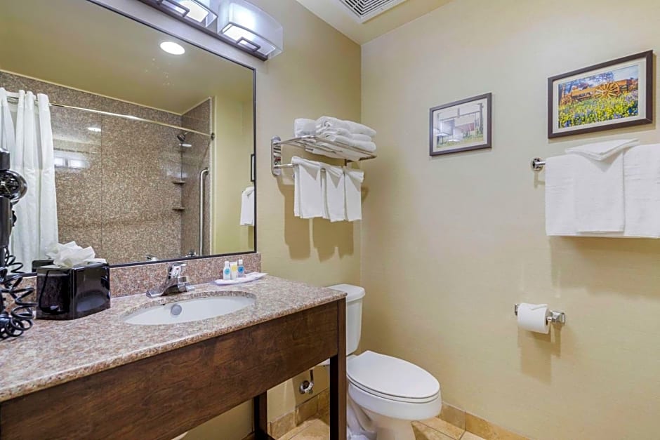 Comfort Suites North Pflugerville - Austin North