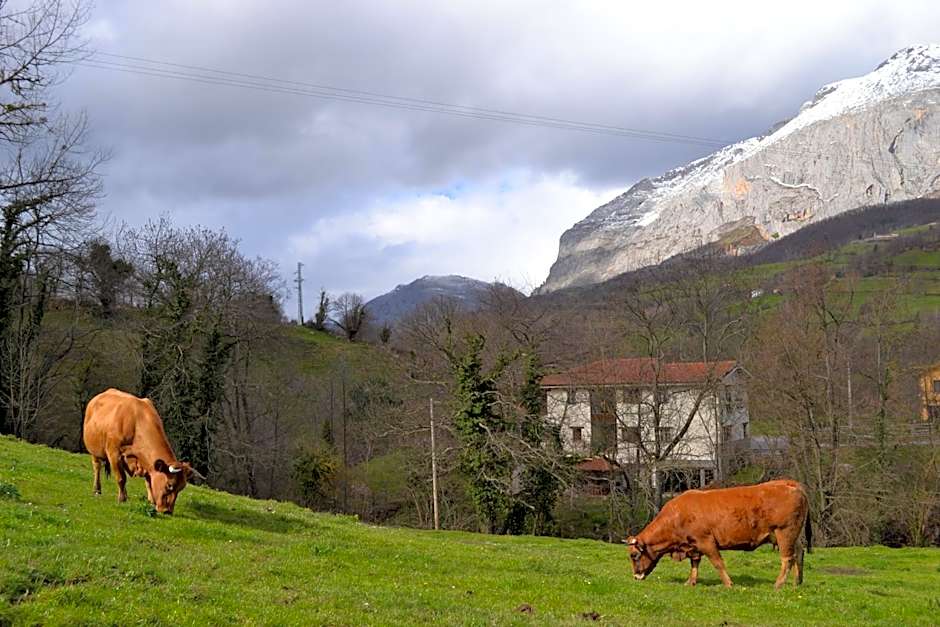 Alesga Hotel Rural - Valles del Oso -Asturias