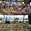 Residence Eden