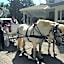 Anne's Washington Inn