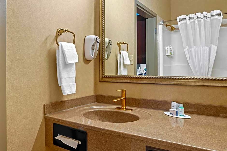 Ramada by Wyndham Drumheller Hotel & Suites