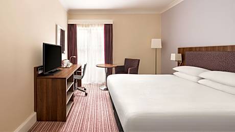 1 Queen Standard Accessible