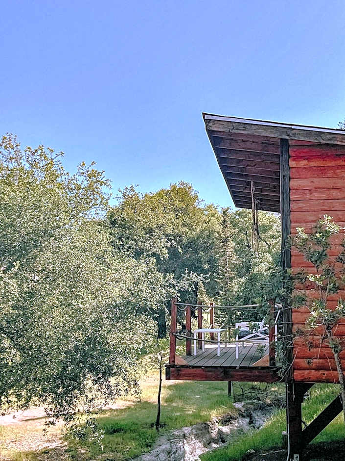 Boskenvid Hotel - Romantic Treehouses & Skypool