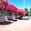 Loano Apartment Pool & Garden