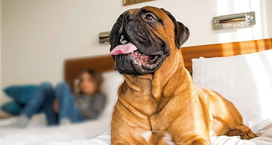 Best Western Gustaf Froding Hotel & Konferens