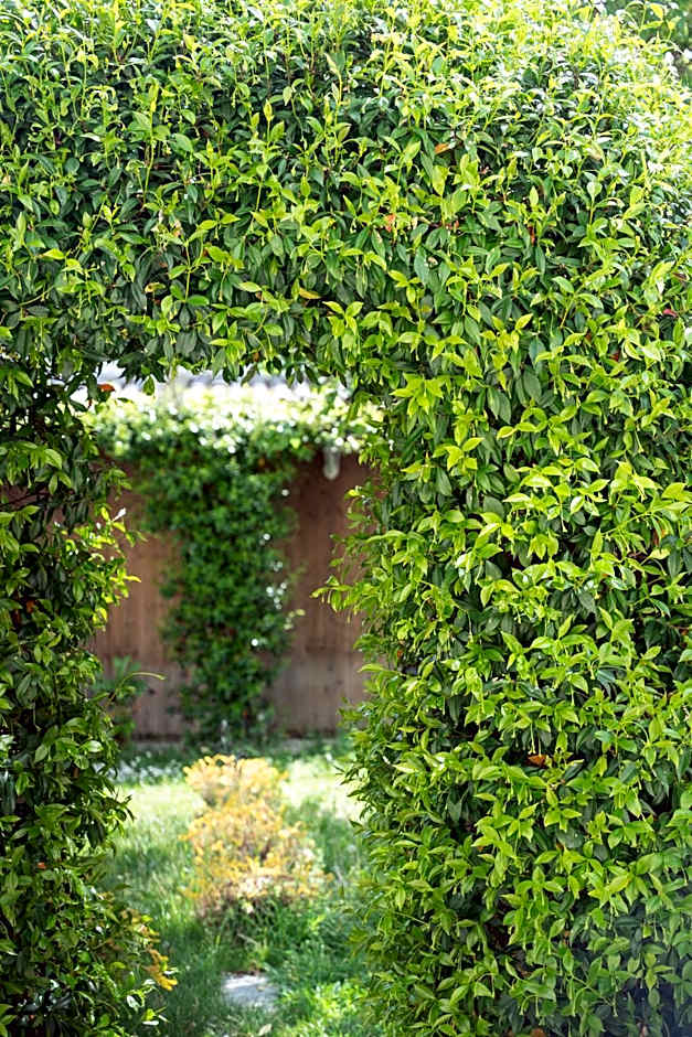 La Maison Charentonneau