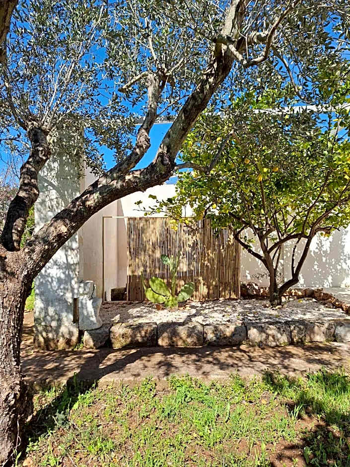 Casa Trullo Bianco-Casa Olive