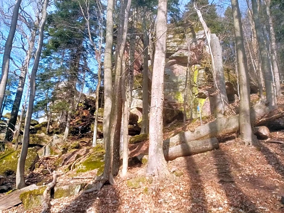 Apartmán Starý Mlyn