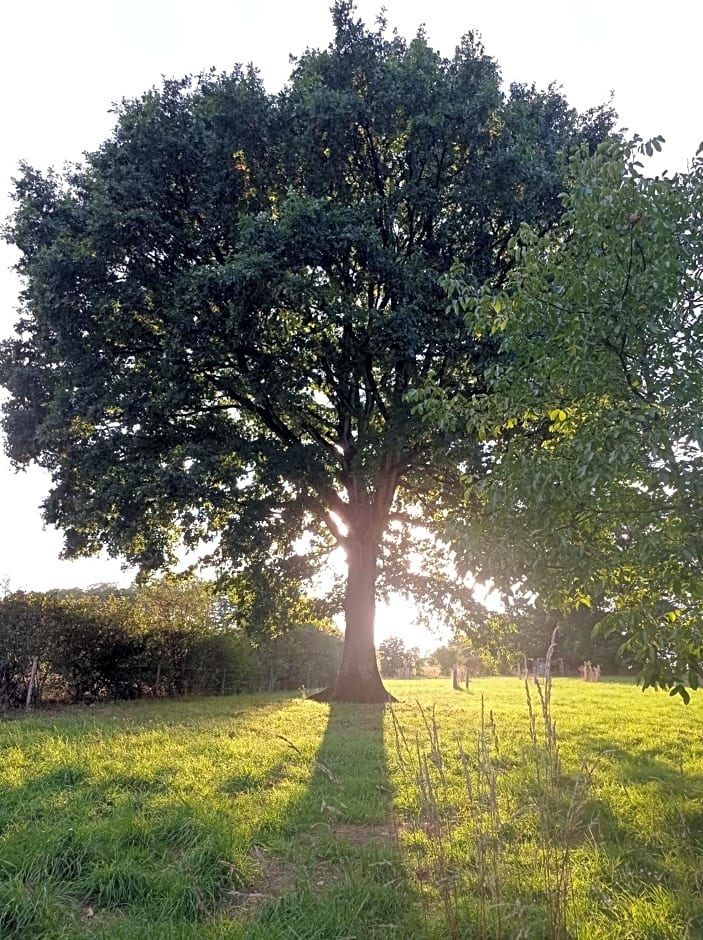 Chambres d'hôtes La Roche