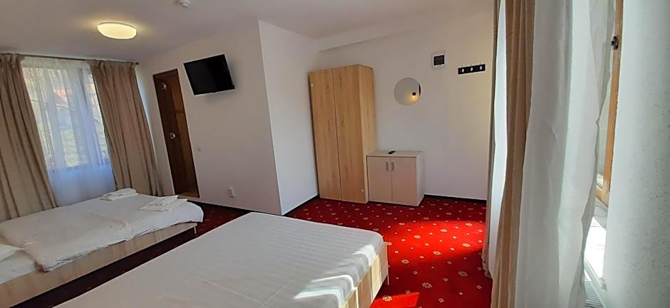 Pensiunea Montan din Bran,sat Simon SPA indoor