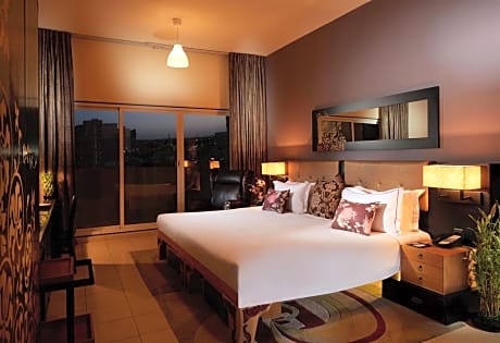 Deluxe One-Bedroom Apartment