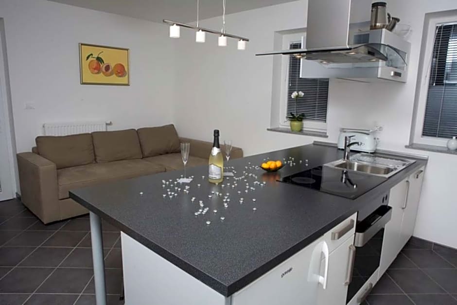 Apartmaji Rose in Winter