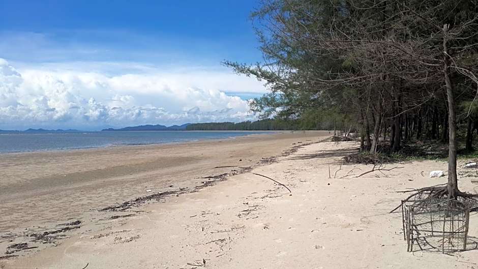 The Travelers Friend