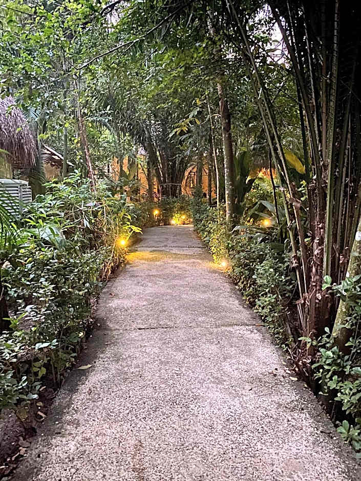 Piedra de Agua Palenque
