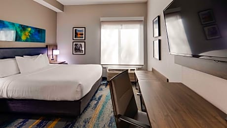 Studio Suite - 1 King Bed, Non-Smoking, Living Room, Sofabed, Flat Screen Television, Work Desk, Mic