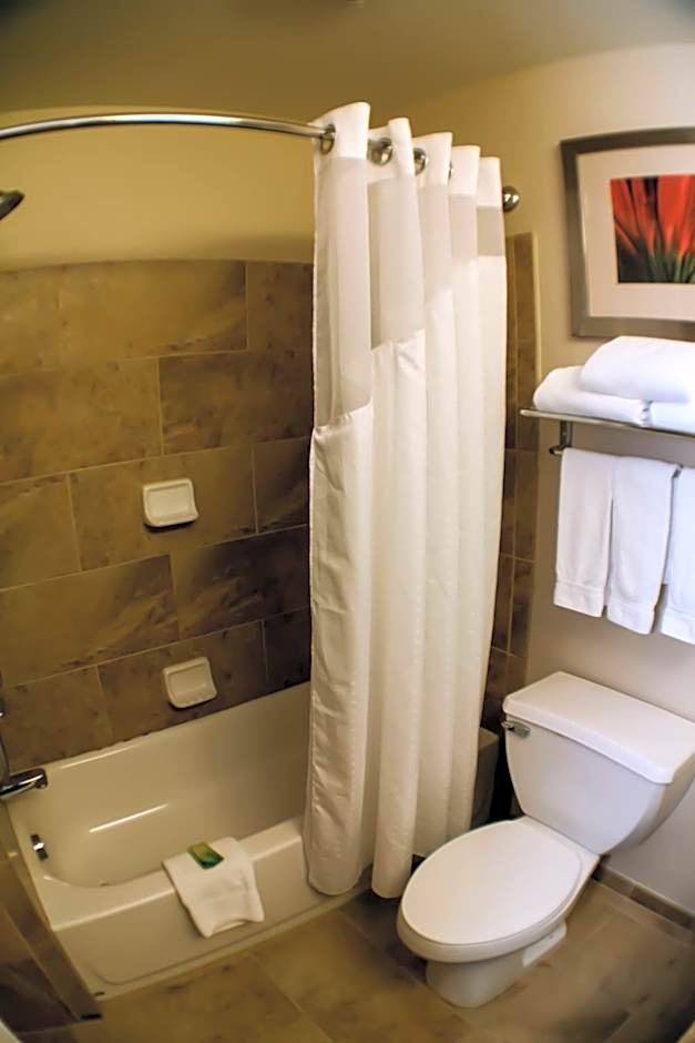 Holiday Inn Express Indianapolis North-Carmel By IHG