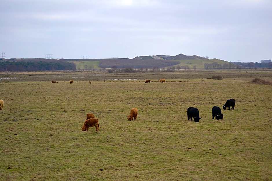 Auberge De Moerse Hoeve