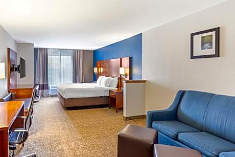 Business King Suite with Roll-In Shower - Accessible/Non-Smoking