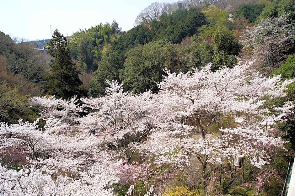 Gyokuzoin