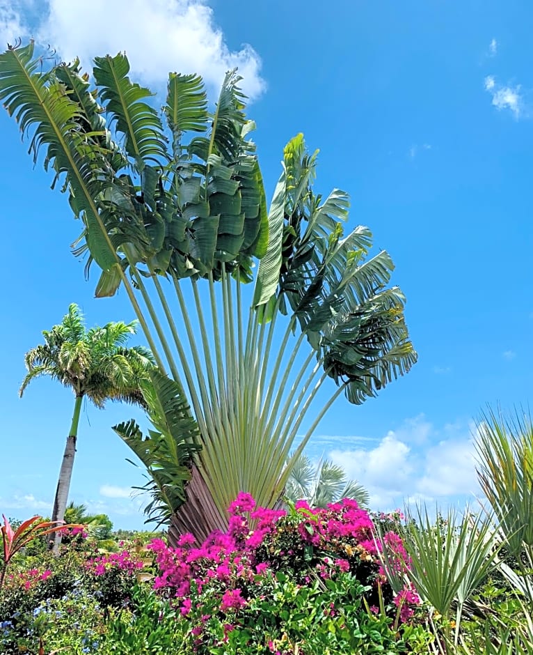 Domaine Saint-François