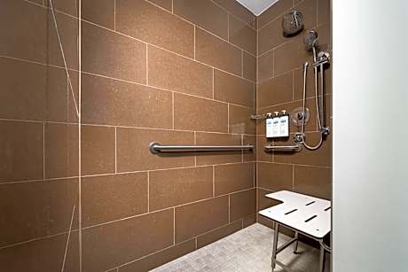 King Room with Roll-in Shower