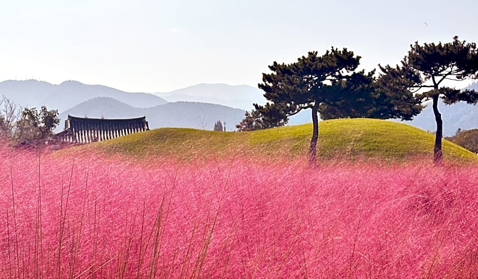 Y Collection by Unboundi Gyeongju