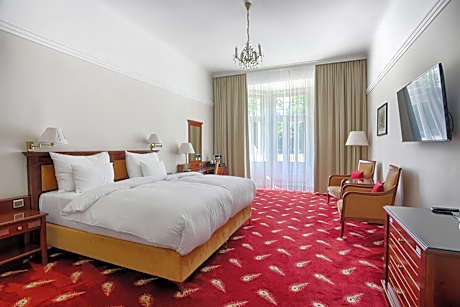 Deluxe Double Room with Wellness Access