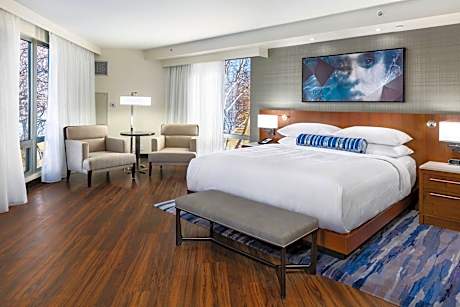 Suite, 1 King, River view
