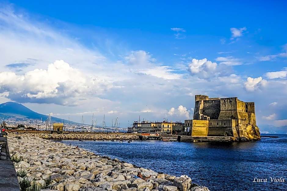 Guest Art Napoli